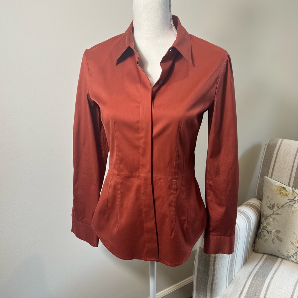 Size Medium Theory long sleeve blouse with fitted body burnt orange - like new